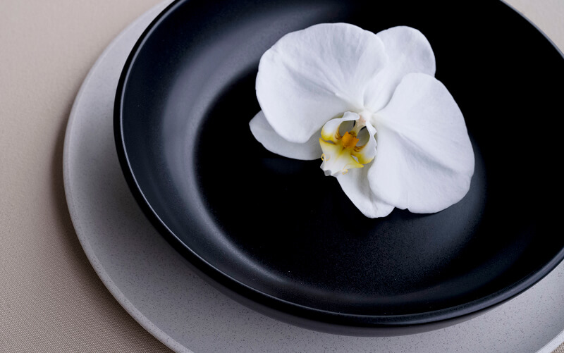 https://s48135.pcdn.co/wp-content/uploads/2025/05/AA_Espacio_Orchid_Color_wide-1005139-1.jpg