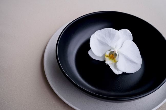 white orchid