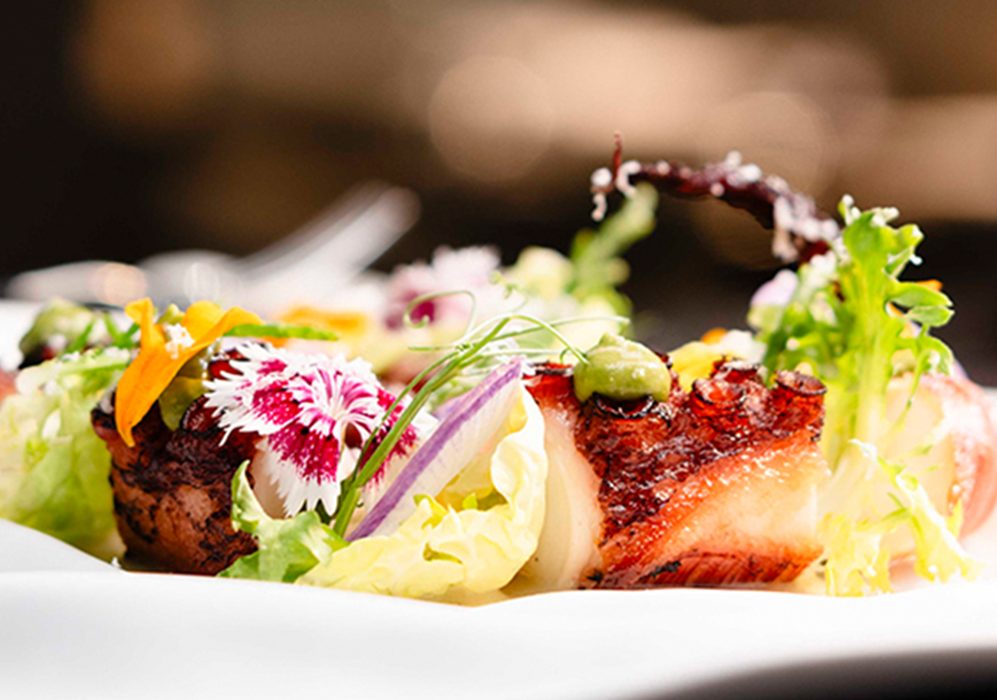 https://s48135.pcdn.co/wp-content/uploads/2025/05/dine-slider-food-closeup-e1748391705927.jpg