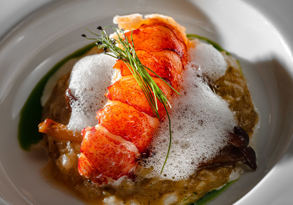 Maine lobster